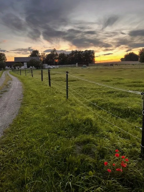 Gården på sommaren