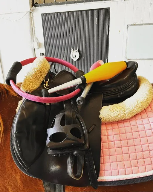 Ridterapi på Hippopower